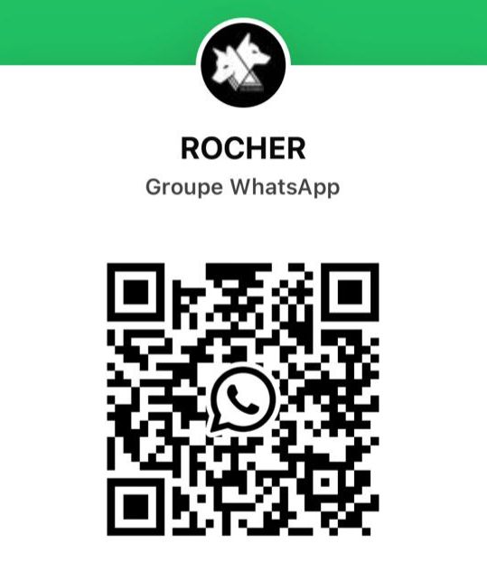 QR Code WhatsApp